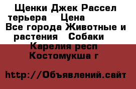 Щенки Джек Рассел терьера  › Цена ­ 15 000 - Все города Животные и растения » Собаки   . Карелия респ.,Костомукша г.